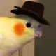 Araújo